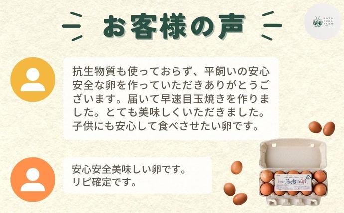 奈良県宇陀市のふるさと納税 平飼い飛鳥の卵 40個／ 卵 たまご 玉子 生卵 鶏卵 生たまご たまごかけごはん 卵焼き 目玉焼き 冷蔵 チルド 古都風雅ファーム 奈良県 宇陀市 ふるさと納税