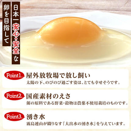 鹿児島県霧島市のふるさと納税 K-173-A ＜通常便＞オーガニック卵「お多福たまご」(計30個・10個入×3パック)【お多福たまご】有機JAS オーガニック 放し飼い自然卵 霧島市 国産 九州産 鹿児島県産 たまご 卵 鶏卵 朝食 通常便