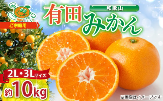 ZJ6079_【2026年先行予約】ご家庭