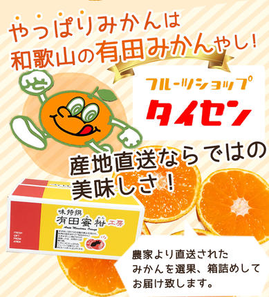 和歌山県湯浅町のふるさと納税 ZJ6079_【2026年先行予約】ご家庭用　和歌山 有田みかん 約10kg (2L、3Lサイズ)【湯浅町】
