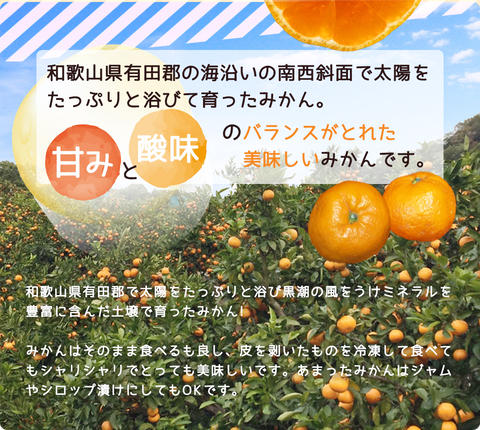 和歌山県湯浅町のふるさと納税 ZJ6079_【2026年先行予約】ご家庭用　和歌山 有田みかん 約10kg (2L、3Lサイズ)【湯浅町】