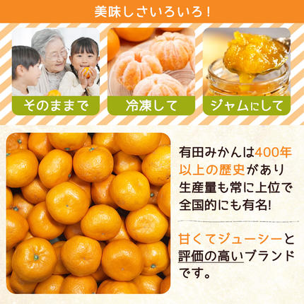 和歌山県湯浅町のふるさと納税 ZJ6079_【2026年先行予約】ご家庭用　和歌山 有田みかん 約10kg (2L、3Lサイズ)【湯浅町】