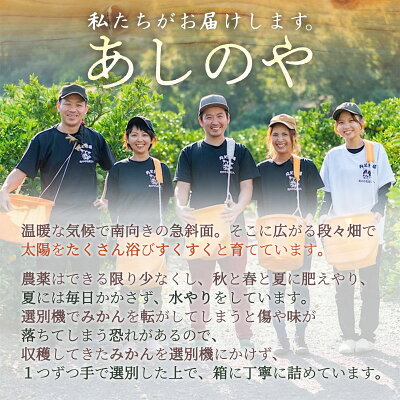 和歌山県湯浅町のふるさと納税 ZE6378n_有田の不知火(しらぬひ) 【訳あり　家庭用】　3kg (S～4Lサイズ混合)まごころ手選別