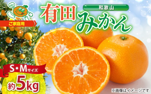 ZJ6078_【2026年先行予約】ご家庭