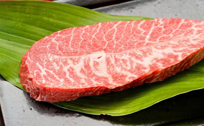 熊本県錦町のふるさと納税 牛肉 厳選 希少部位 A4～A5 くまもと 黒毛和牛 ミスジ ステーキ 約1kg (100g×10p) 肉 お肉 ※配送不可：離島