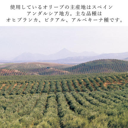 岡山県瀬戸内市のふるさと納税 エキストラバージン オリーブオイル 大容量 5L ×2本  瀬戸内市