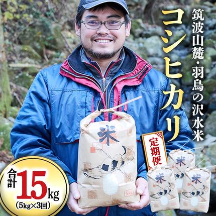 茨城県桜川市のふるさと納税 令和7年産 【3ヶ月定期便】 筑波山麓・羽鳥の沢水米 コシヒカリ 5kg × 3回 定期便 米 お米 コメ 精米 白米 桜川市 茨城県 [BN003sa]