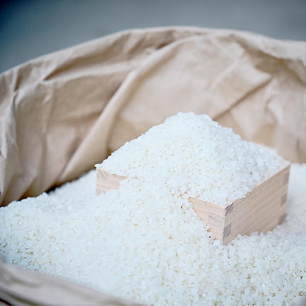 茨城県桜川市のふるさと納税 令和7年産 【3ヶ月定期便】 筑波山麓・羽鳥の沢水米 コシヒカリ 5kg × 3回 定期便 米 お米 コメ 精米 白米 桜川市 茨城県 [BN003sa]