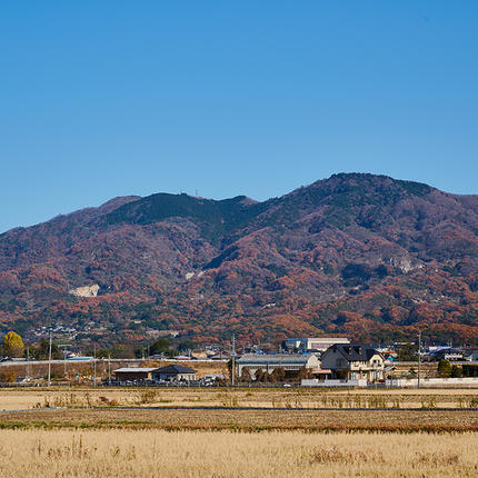 茨城県桜川市のふるさと納税 令和7年産 【3ヶ月定期便】 筑波山麓・羽鳥の沢水米 コシヒカリ 5kg × 3回 定期便 米 お米 コメ 精米 白米 桜川市 茨城県 [BN003sa]