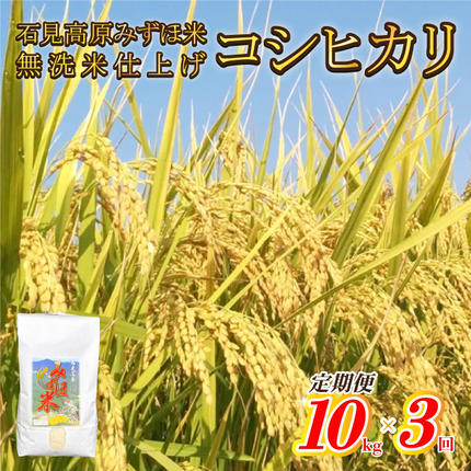 【定期便】先行予約 令和8年産産高原みずほ