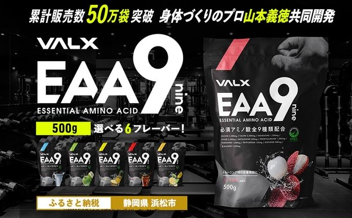 静岡県浜松市のふるさと納税 筋トレ VALX EAA9 500g 選べる風味 トレーニング スポーツ アミノ酸 サプリ バルクス