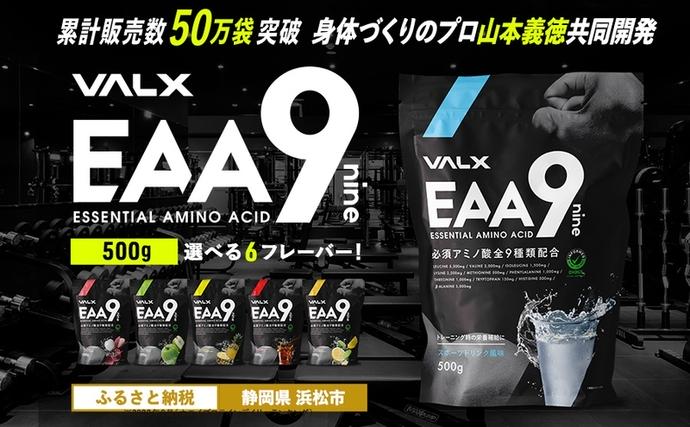 静岡県浜松市のふるさと納税 筋トレ VALX EAA9 500g 選べる風味 トレーニング スポーツ アミノ酸 サプリ バルクス