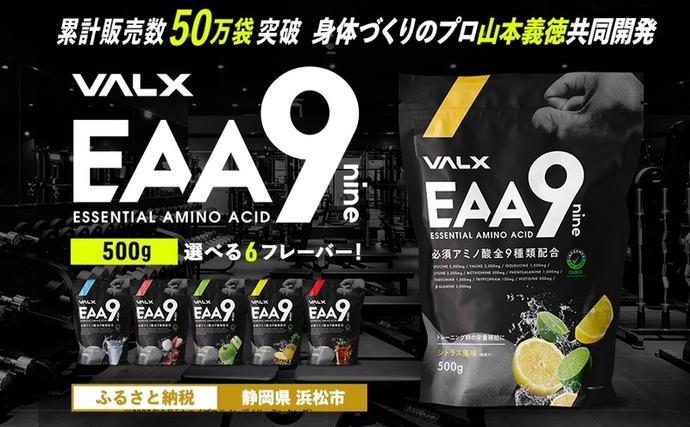 静岡県浜松市のふるさと納税 筋トレ VALX EAA9 500g 選べる風味 トレーニング スポーツ アミノ酸 サプリ バルクス