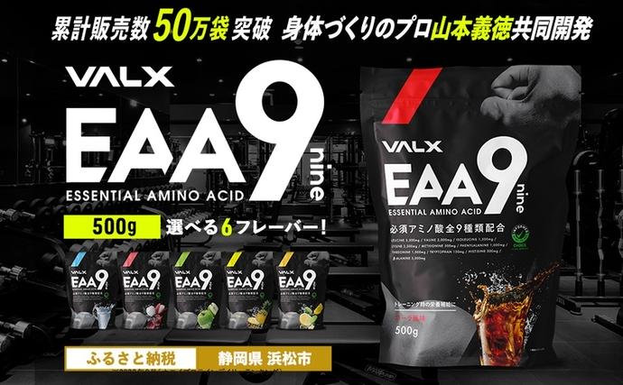 静岡県浜松市のふるさと納税 筋トレ VALX EAA9 500g 選べる風味 トレーニング スポーツ アミノ酸 サプリ バルクス