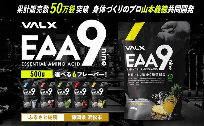 静岡県浜松市のふるさと納税 筋トレ VALX EAA9 500g 選べる風味 トレーニング スポーツ アミノ酸 サプリ バルクス