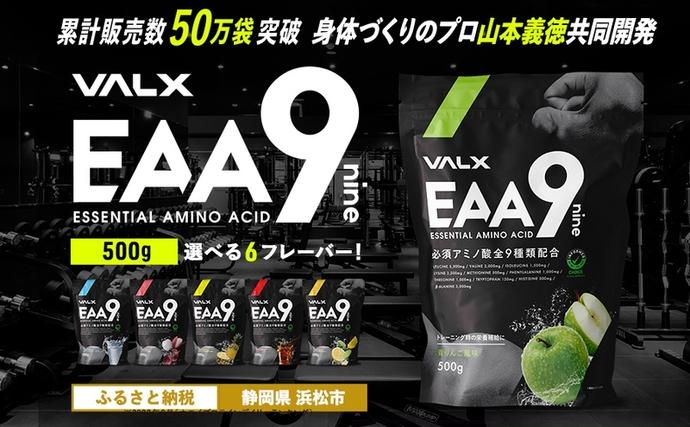 静岡県浜松市のふるさと納税 筋トレ VALX EAA9 500g 選べる風味 トレーニング スポーツ アミノ酸 サプリ バルクス