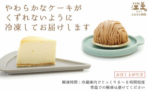 北海道江差町のふるさと納税 5種のケーキセット（各2個全10個入）パティシエが作るこだわりのケーキ　冷凍でお届け　Cafe＆Sweets壱番蔵　お好きな時にお好きな分だけ　ご褒美　スイーツ　モンブラン　抹茶　ベリー　果実　チーズケーキ　ショコラ　チョコ　スフレ