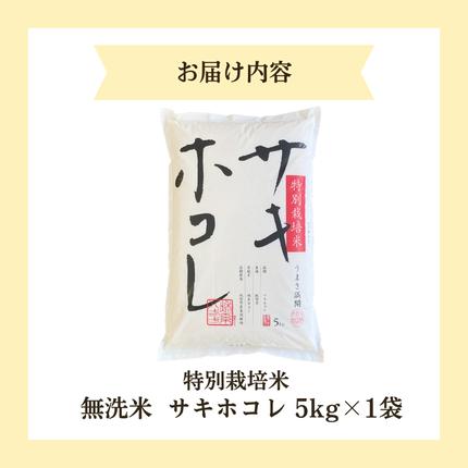秋田県にかほ市のふるさと納税 【無洗米】特別栽培米サキホコレ5kg×1 令和7年産 秋田県 にかほ市 お米 米 こめ