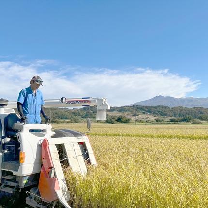 秋田県にかほ市のふるさと納税 【無洗米】特別栽培米サキホコレ5kg×1 令和7年産 秋田県 にかほ市 お米 米 こめ