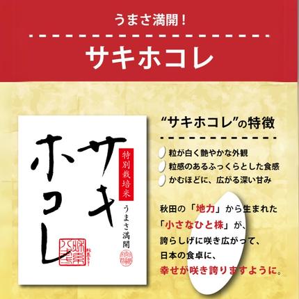 秋田県にかほ市のふるさと納税 【無洗米】特別栽培米サキホコレ5kg×1 令和7年産 秋田県 にかほ市 お米 米 こめ