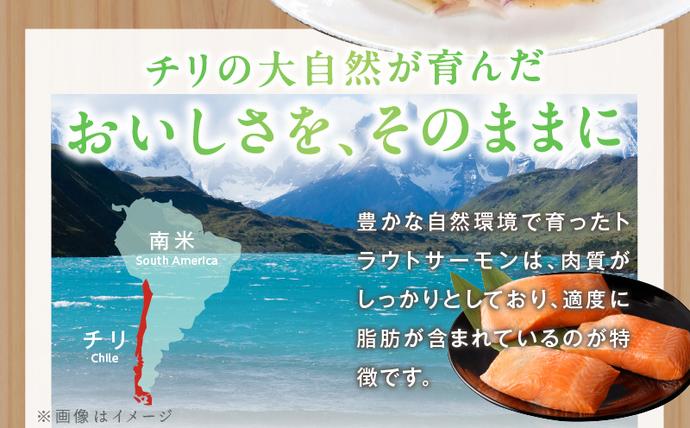 大阪府泉佐野市のふるさと納税 【期間限定】お刺身用 サーモン 1kg ブロック 小分け 約250g×4P ポーション 柵 訳あり サイズ不揃い kgp0048