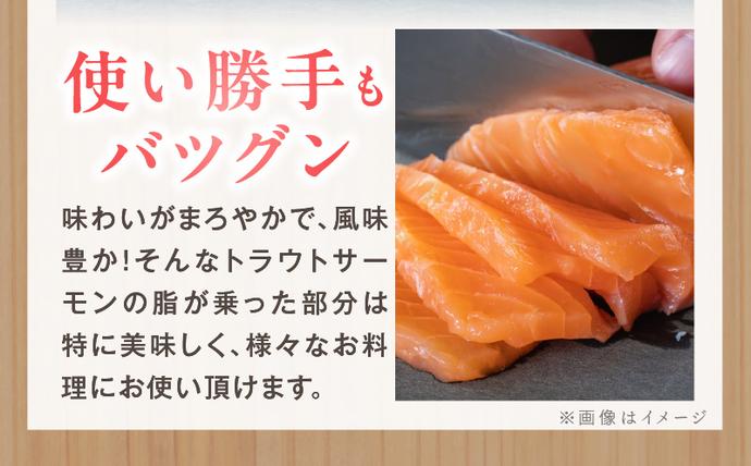 大阪府泉佐野市のふるさと納税 【期間限定】お刺身用 サーモン 1kg ブロック 小分け 約250g×4P ポーション 柵 訳あり サイズ不揃い kgp0048