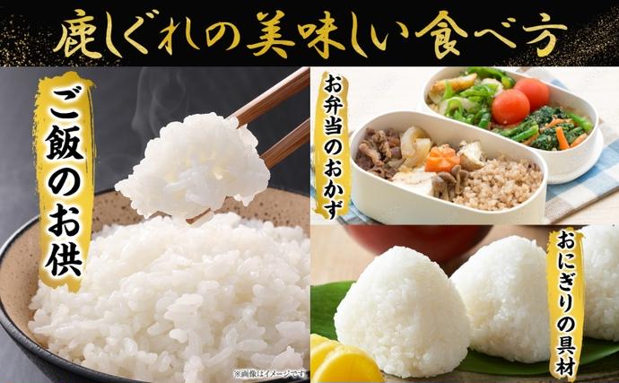 北海道陸別町のふるさと納税 りくべつ鹿しぐれ【5個】鹿肉 肉 ジビエ 冷蔵便 送料無料 エゾシカ フキ ふき 粗挽き肉 上質 鹿 濃厚 旨味 しっとり 80g×5 ご飯 お供 白米 白飯 お供 お弁当 しぐれ丼 おにぎりお酒 有機醤油 生姜 つまみ 夕食 北海道 陸別町