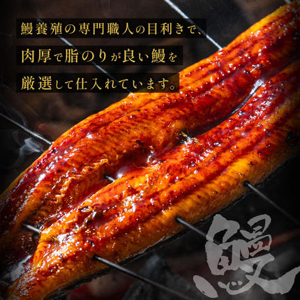 福岡県新宮町のふるさと納税 AD166.うなぎ蒲焼き（約100g×7Pセット）