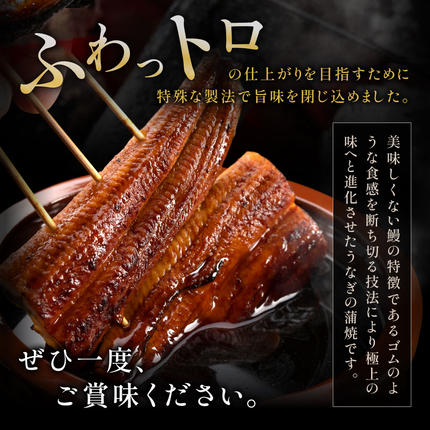 福岡県新宮町のふるさと納税 AD166.うなぎ蒲焼き（約100g×7Pセット）