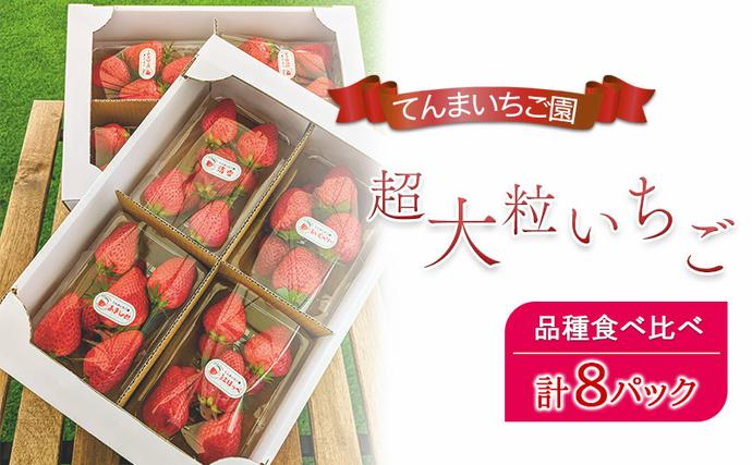 予約受付】てんまいちご園 超大粒いちご 8パックセット 品種食べ比べ