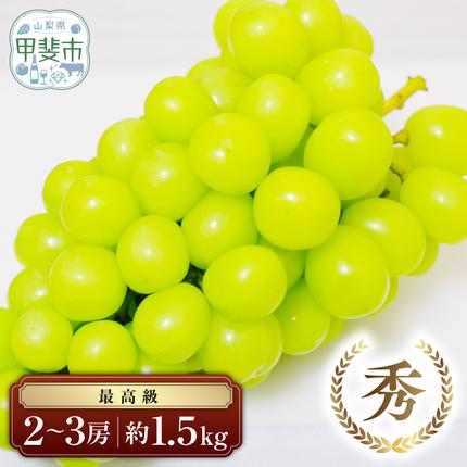 【2026年分発送】 最高級 シャインマス