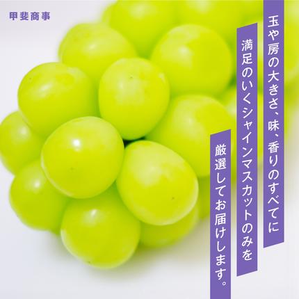 山梨県甲斐市のふるさと納税 【2026年分発送】 最高級 シャインマスカット 2～3房 約1.5kg 先行予約 山梨県産 産地直送 フルーツ 果物 くだもの ぶどう ブドウ 葡萄 シャイン シャインマスカット 新鮮 人気 おすすめ 国産 贈答 ギフト お取り寄せ 山梨 甲斐市 AN-11