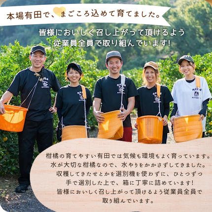 和歌山県湯浅町のふるさと納税 ZE6401n_湯浅町産せとか11～15玉（M～2Lサイズ混合）化粧箱入り秀品【まごころ手選別】