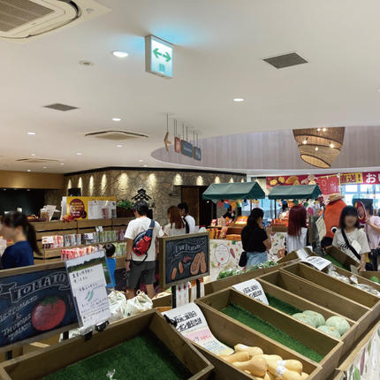 茨城県行方市のふるさと納税 GN-1　さつまいもあん(210g×3個)