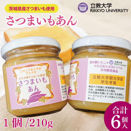 茨城県行方市のふるさと納税 GN-2　さつまいもあん(210g×6個)