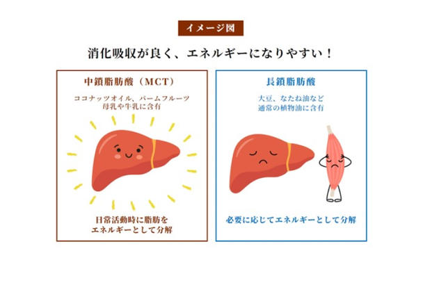 愛知県小牧市のふるさと納税 MCT大麦若葉粉末 5g×52包（機能性表示食品）[027Y16]