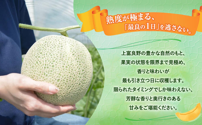 北海道上富良野町のふるさと納税 【令和8年産】富良野 高糖度 赤肉メロン 1玉 約1.8kg ～ 2.3kg うっちーfarm 北海道 メロン フルーツ 果物 デザート上富良野産