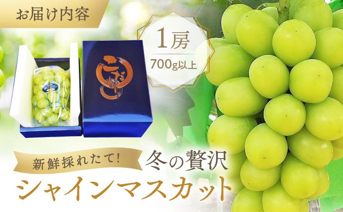 岡山県里庄町のふるさと納税 【2026年先行予約】 ぶどう 冬の贅沢 シャインマスカット 1房(700g以上)【11月20日から12月12日の期間に発送】 葡萄 ブドウ 岡山県産 フルーツ 果物 数量限定 期間限定 岡山 里庄町