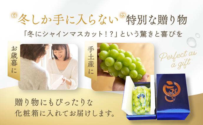 岡山県里庄町のふるさと納税 【2026年先行予約】 ぶどう 冬の贅沢 シャインマスカット 1房(700g以上)【11月20日から12月12日の期間に発送】 葡萄 ブドウ 岡山県産 フルーツ 果物 数量限定 期間限定 岡山 里庄町
