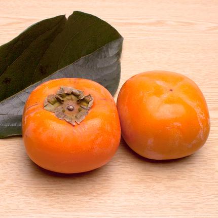 和歌山県美浜町のふるさと納税 ＜10月より発送＞厳選たねなし柿5kg【刀根早生・平核無柿（ひらたねなしかき）】｜カキ・種無柿・種無し柿・種なし柿・無核柿