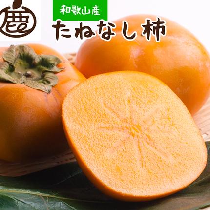 ＜10月より発送＞厳選たねなし柿5kg【刀