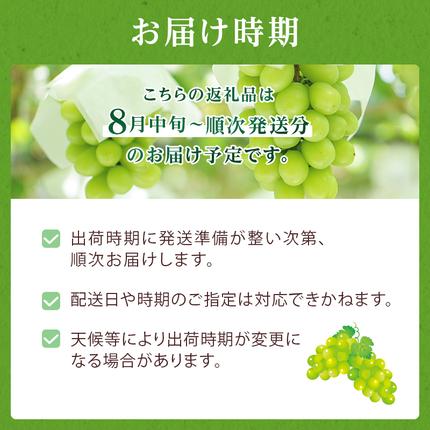 岡山県玉野市のふるさと納税 ぶどう 2026年 先行予約 ご家庭用 シャイン マスカット 約2kg 糖度抜群！ 【9月上旬～順次発送分】 ブドウ 葡萄  岡山県産 国産 フルーツ 果物 果物類