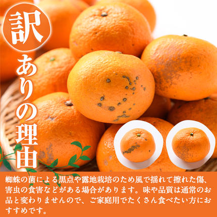 鹿児島県阿久根市のふるさと納税 訳あり紅甘夏(約20kg) 国産 鹿児島県 阿久根市 果実 果物 フルーツ 柑橘 紅甘夏 みかん ミカン 期間限定 数量限定【桐野柑橘株式会社】akn070-09