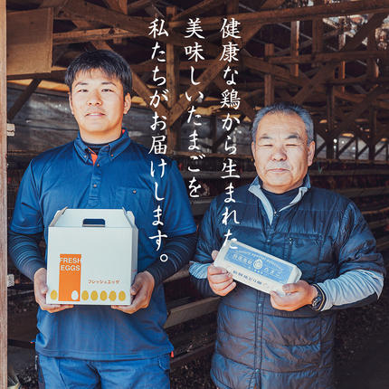 鶏卵 30個 ( 26個 + 破損補償分 4個 ) 卵 たまご 玉子 ふるさと納税