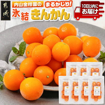 宮崎県都城市のふるさと納税 内山金柑園のまるかじり氷結きんかん7パック≪みやこんじょ特急便≫_AO-J703-Q