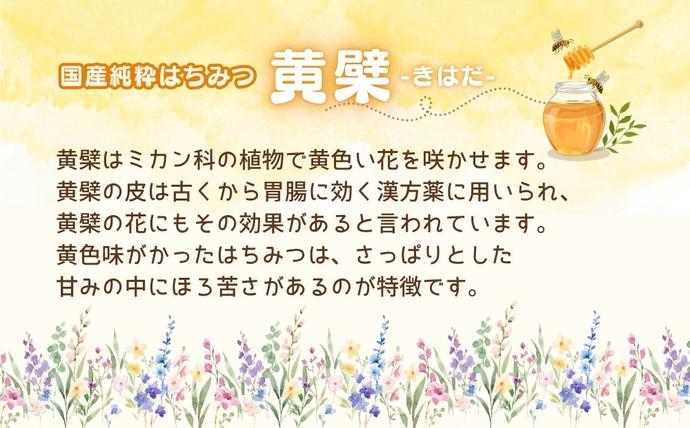 奈良県宇陀市のふるさと納税 国産 純粋 はちみつ 里の花 125g 黄檗 125g (各1本)／ 蜂蜜 ハチミツ 非加熱 無添加 無加工 百花蜜 単花蜜 キハダ お取り寄せ 伊藤ゆう養蜂園 奈良県 宇陀市 ふるさと納税