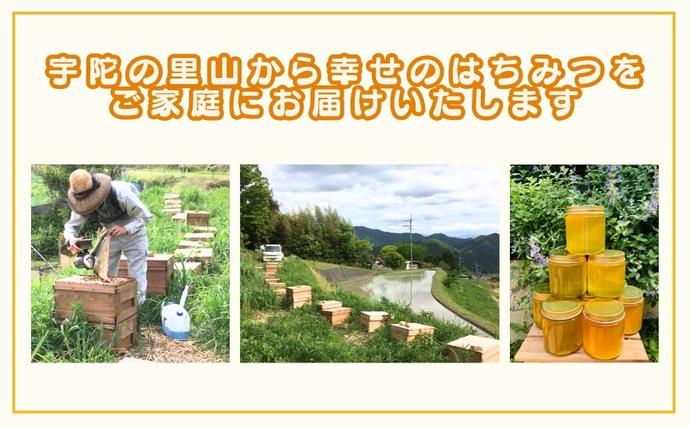 奈良県宇陀市のふるさと納税 国産 純粋 はちみつ 里の花 125g 黄檗 125g (各1本)／ 蜂蜜 ハチミツ 非加熱 無添加 無加工 百花蜜 単花蜜 キハダ お取り寄せ 伊藤ゆう養蜂園 奈良県 宇陀市 ふるさと納税