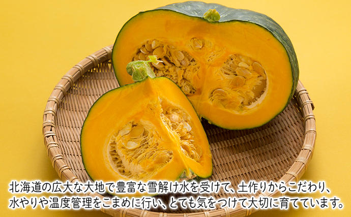 北海道富良野市のふるさと納税 2026年夏～発送 富良野を堪能！贅沢 定期便 年3回  北海道 富良野産 とうもろこし メロン かぼちゃ 野菜 ふらの とうきび