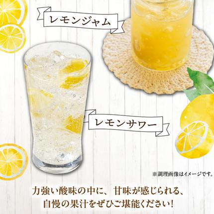 和歌山県湯浅町のふるさと納税 EA6021n_【訳あり・ご家庭用】完熟 レモン 2kg 皮まで使用可能（栽培期間中農薬不使用）