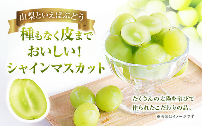 2025年発送】 ぶどう 山梨県産 シャインマスカット 約1.8kg [株式会社